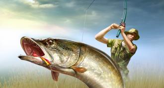 Fisherman's calendar for February for the southern regions of Russia