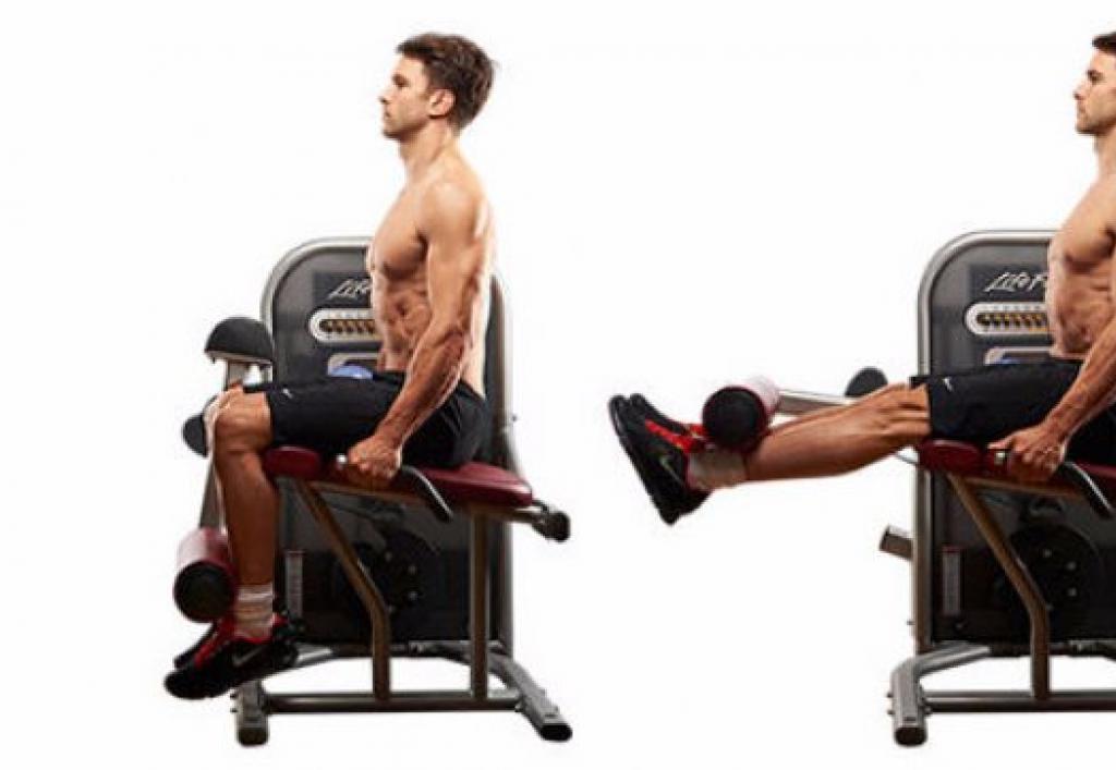 Extension and bending of the legs in the simulator for quadriceps and hamstrings