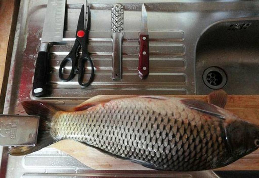 How to clean carp at home