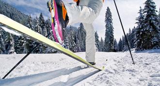 Inventory care and lubricant skiing Care for plastic skiing at home